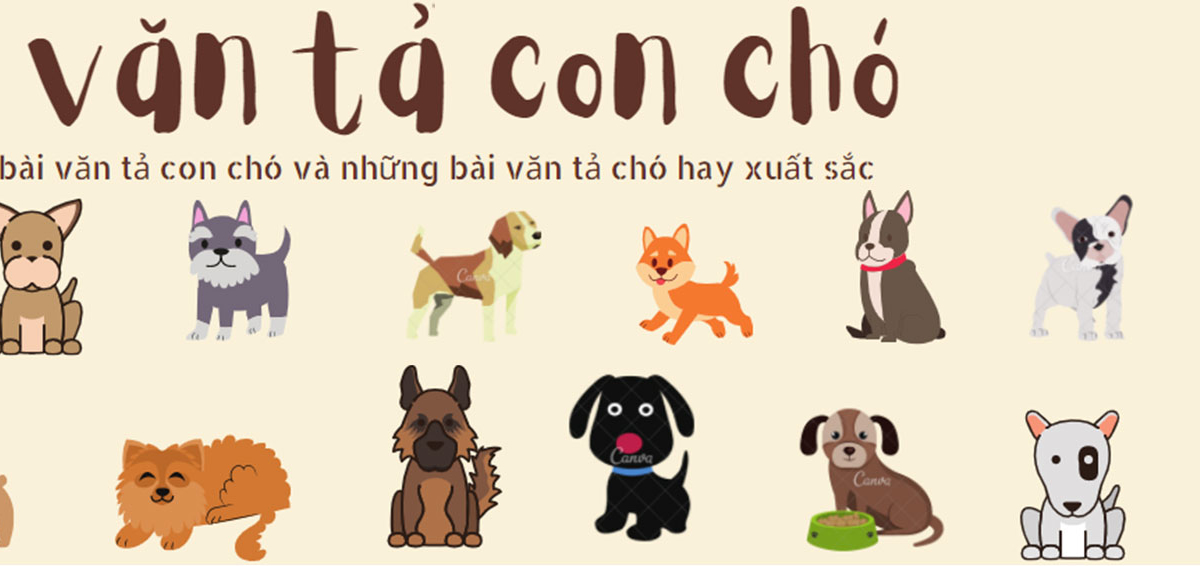 Top 16 bài văn tả con chó hay xuất sắc, đã đạt điểm cao